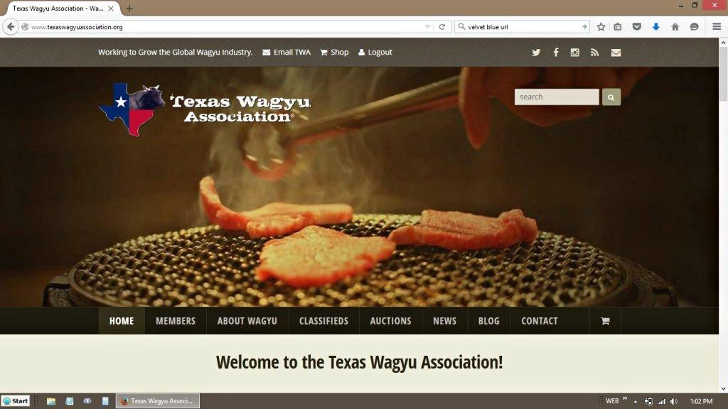 Texas Wagyu Association WordPress Website Redesign
