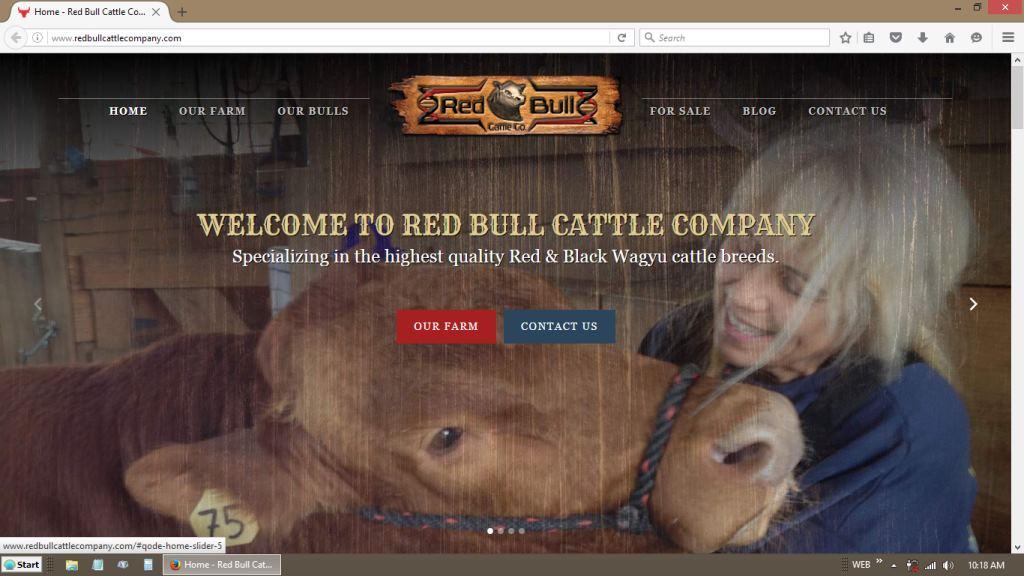 Red Bull Cattle Company WordPress Redesign