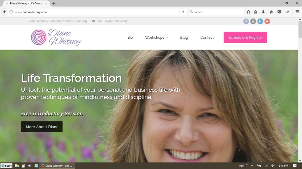 Diane Whitney Website Redesign